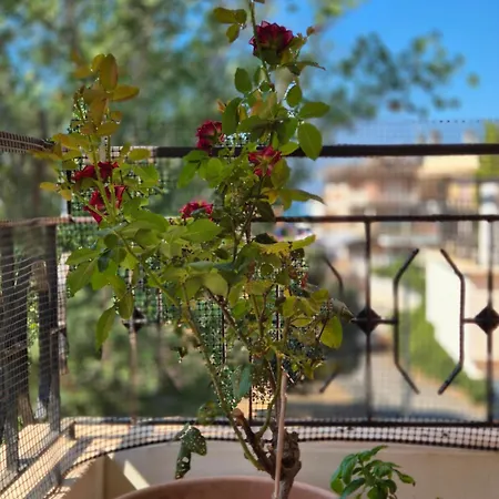 Holiday home Espo's House Torvaianica